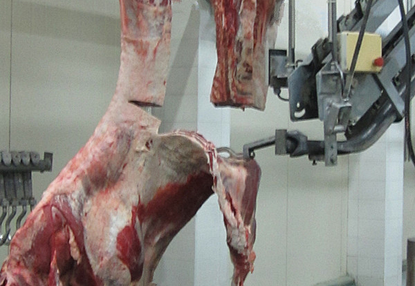 Four-parted Carcass Station