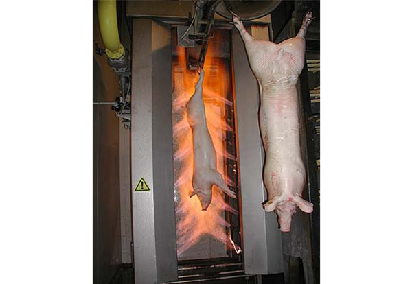 Singeing Machine