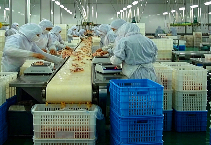 Red Viscera Quarantine Conveying Line