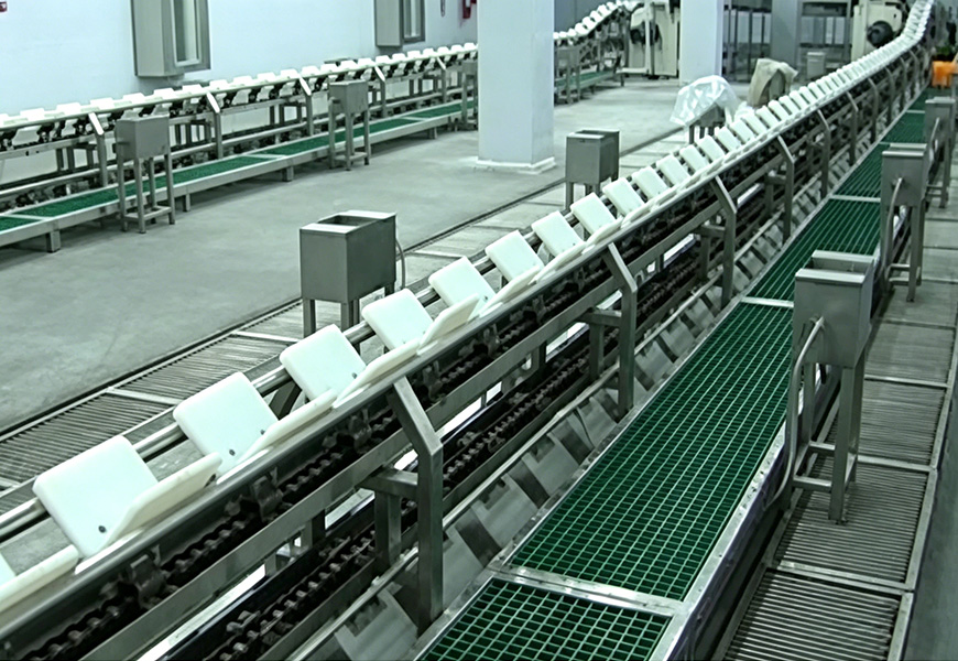 Pre-dehiding Conveyor